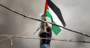 عاما على “نكبة” فلسطين.. إحصائيات وحقائق